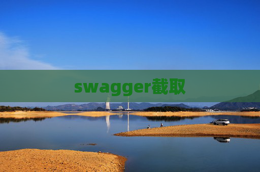 swagger截取
